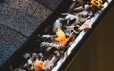 What Are the Warning Signs That Your Gutters Need Immediate Repair?
