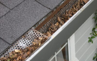 Why is Regular Gutter Cleaning the Best Way to Avoid Costly Gutter Repairs?