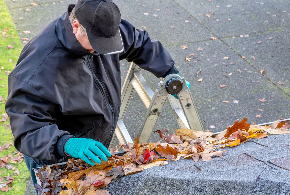 gutter cleaning service Odessa