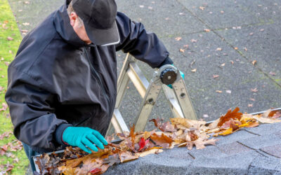 How Often Should You Schedule Gutter Cleaning in the West Texas Climate?