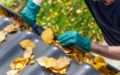 What Happens if You Don’t Clean Your Gutters Before the Rainy Season?
